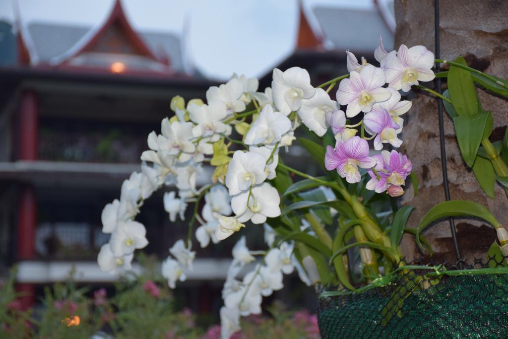 Kalim Residence Patong Buitenkant foto
