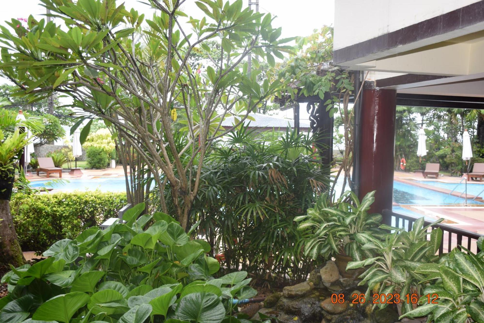 Kalim Residence Patong Buitenkant foto